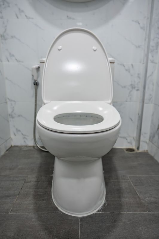 Toilet Repair in Denver, CO